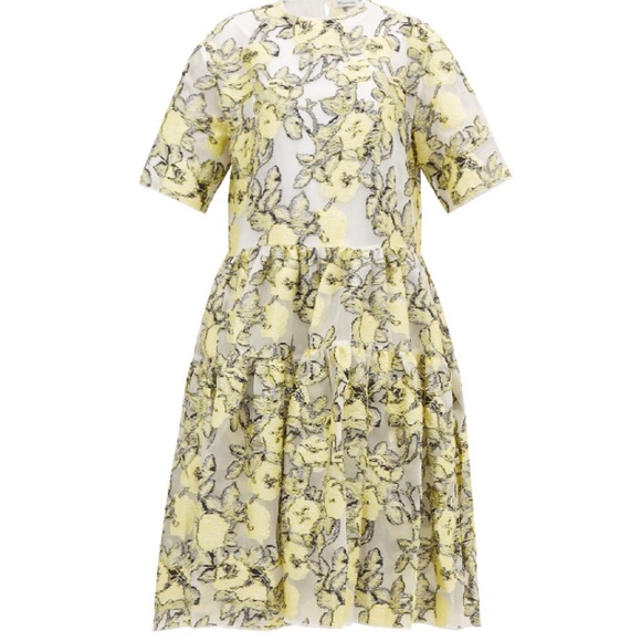 cecilie bahnsen Dresses & Skirts - CECILIEBAHNSEN Elliemay TiebackFloralOrganza Dress